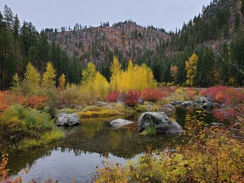 Fall Colors 2 Foto stock