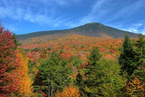 Fall Colors 3 Stock Photos