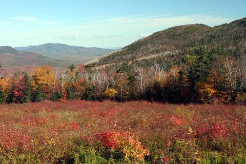 Fall Colors 4 Stock Photos