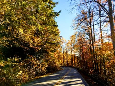 Fall Colors 5 Stock Photos