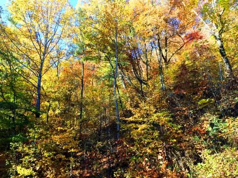 Fall Colors 8 Stock Photos