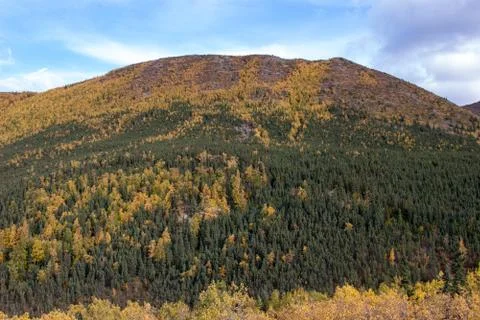 Fall colors in alaska 写真素材
