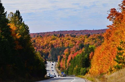 Fall Colors in Algonquin Stock Photos