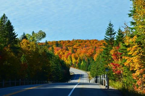 Fall Colors in Algonquin Stock Photos