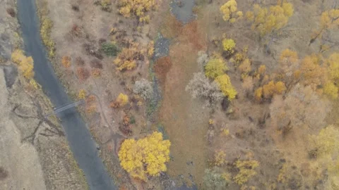 Fall Colors along the Missouri River Stock Footage