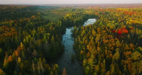 Fall colors along river 1 Stock Footage 256915921