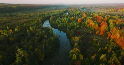 Fall colors along river 2 库存影片 256915945