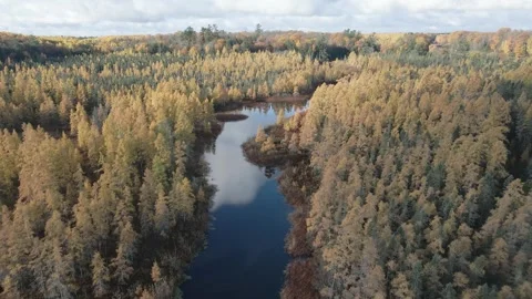 Fall colors, along a river, nature. Cinematic flight, LOG Video stock 254728671