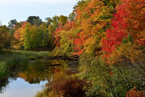 Fall Colors Along River Stock Photos