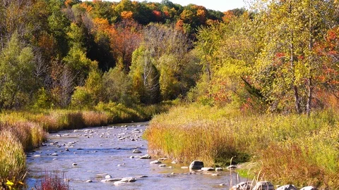 Fall Colors Along Rouge River in Rouge National Urban Park Stock Footage 117960092