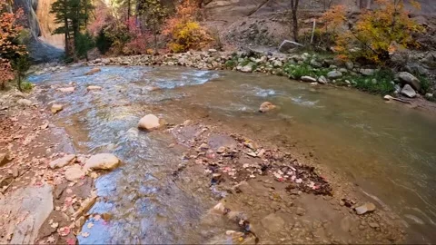 Fall Colors and Flowing River in the Upper Narrows of Zion, Top-Down Trail, Zion Stock Footage 278194372
