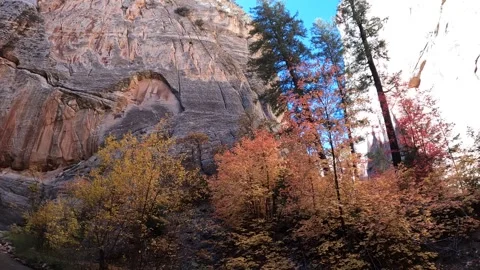 Fall Colors and Flowing River in the Upper Narrows of Zion, Top-Down Trail, Zion Stock Footage 278194831
