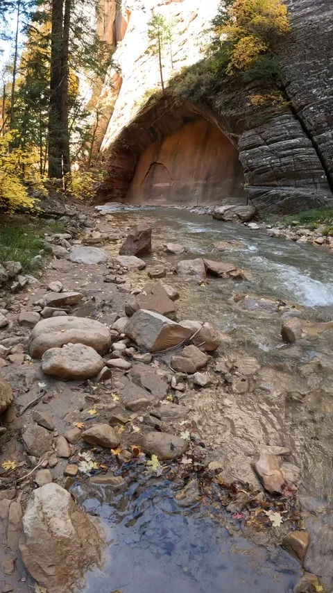 Fall Colors and Flowing River in the Upper Narrows of Zion, Top-Down Trail, Zion Stock Footage 278194845