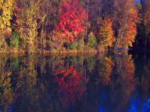 Fall Colors and Lake Stock Footage