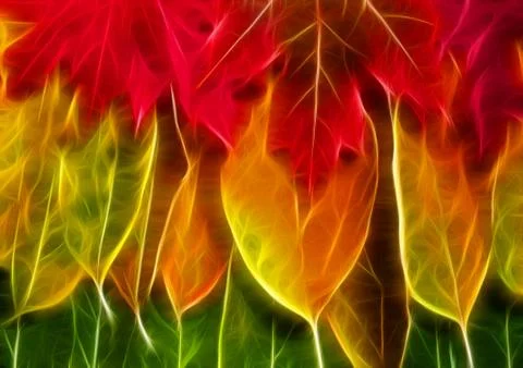 Fall colors background Stock Illustration