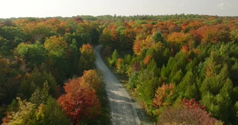 Fall colors bendy road Stock Footage 256915969