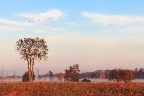 Fall colors in Canada Stock Photos