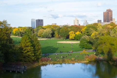Fall colors in Central Park Stock Photos