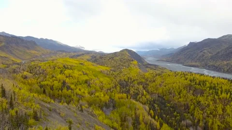Fall colors of Chugach National Forest in Alaska on a gloomy day Stock Footage 227391364
