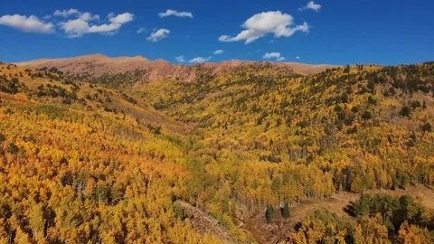 Fall colors in Colorado on the back side of Pikes Peak Stock Footage 118793399