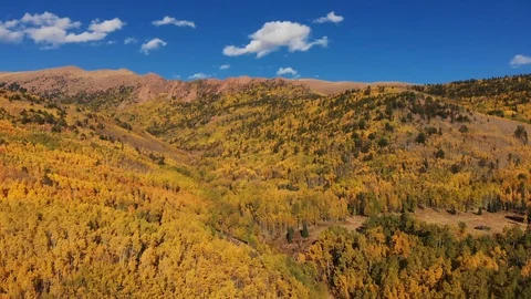 Fall colors in Colorado on the back side of Pikes Peak Stock Footage 118793422