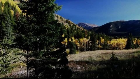 Fall Colors In Colorado begin Stock Footage 105042808