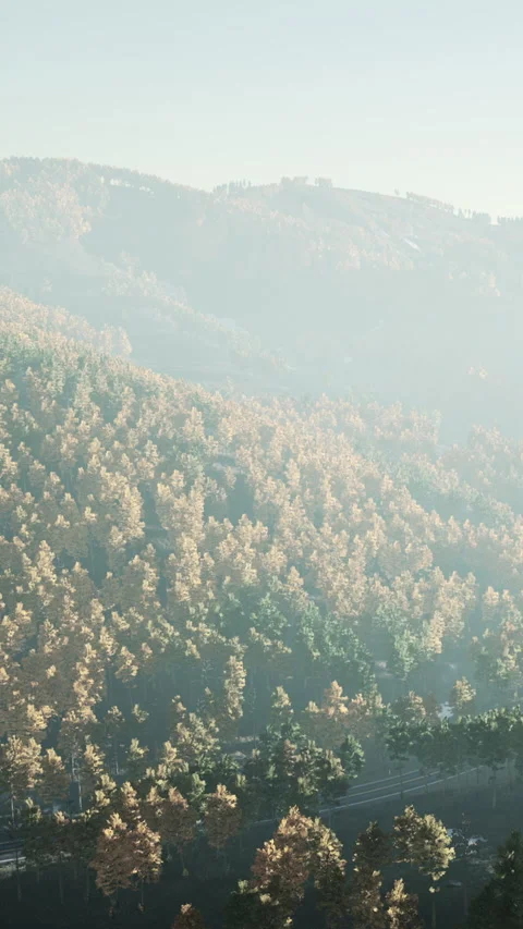 Fall colors cover hills in a forest near a road during daylight hours Stock Footage 337949417