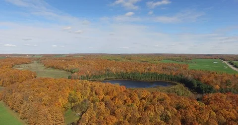 Fall Colors on the Farm Crane Down Stock Footage 96439831