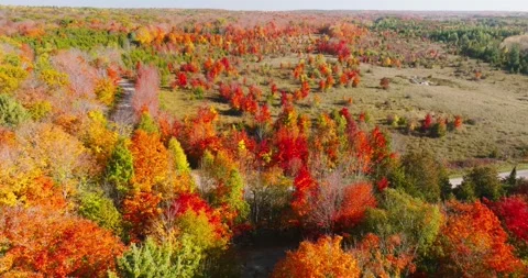 Fall colors farm field red trees Stock Footage 256916086