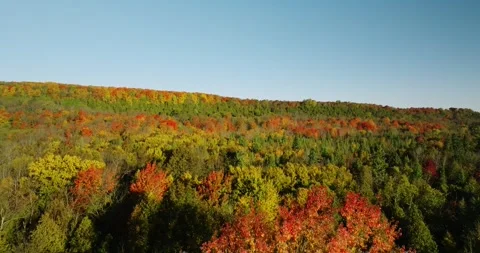 Fall colors flying into bluffs 库存影片 256916130