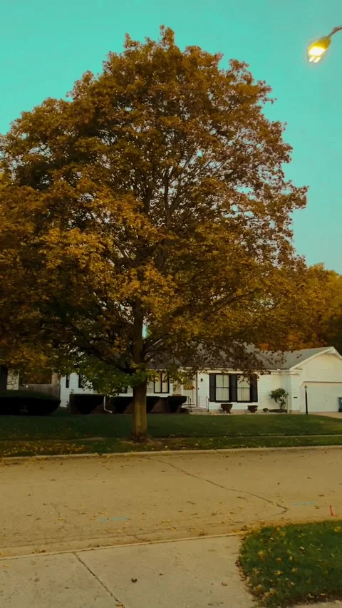 Fall colors Video stock 279523730