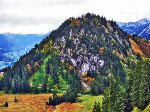 Fall colors in forests of Alpstein mountain range and Thur River valley Stock Photos