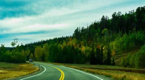 Fall Colors in high mountain forest Stock Photos