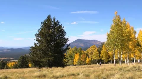 Fall Colors Hikers Stock Footage 12265874
