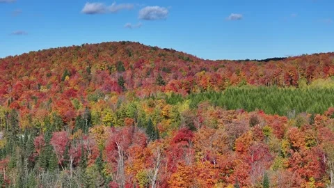 Fall Colors on Hillside With Road Running Through Stock Footage 315265017