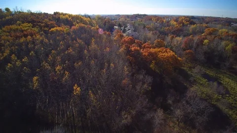 Fall colors with housing development 1 Stock-Footage 105799108