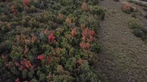 Fall Colors interstate reveal Vídeos de archivo 95215609