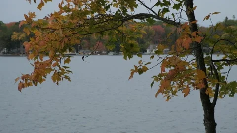 Fall Colors at the Lake 4K Stock Footage 140369960