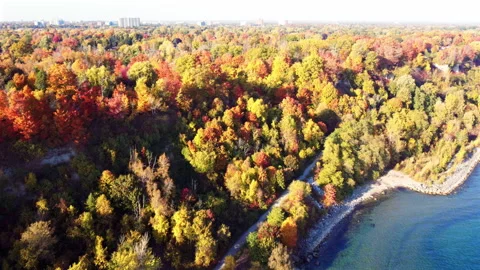Fall Colors By Lake Ontario Stock Footage 289152998