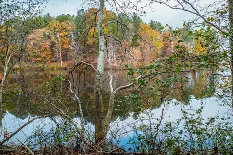 Fall colors at the lake Stock Photos
