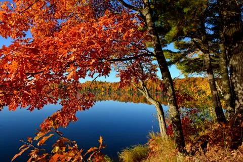 Fall Colors with Lake View Stock Photos