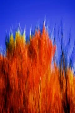 Fall colors motion blur Stock Illustration