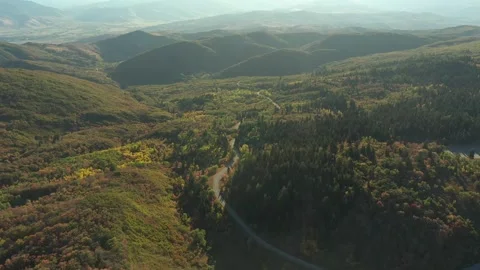 Fall colors in the mountain 動画素材 296795287