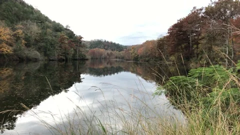 Fall colors at the Mountain Fork River, Beavers Bend, Oklahoma  Stock Footage 148306471