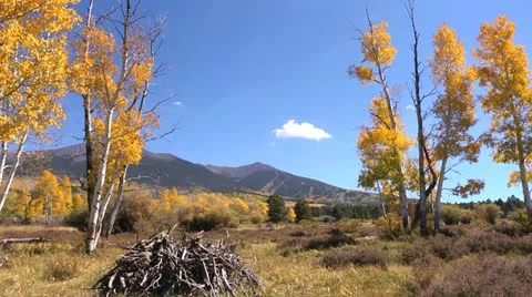 Fall Colors Mountain Pan Stock Footage 12263076
