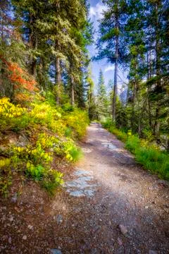 Fall Colors on a Mountain Trail Foto stock
