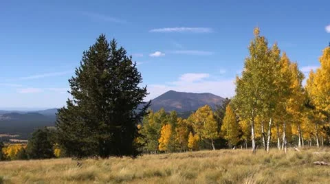 Fall Colors Mountains Stock Footage 12266207