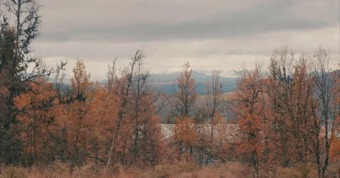 Fall colors in the mountains Stock Footage 56732032