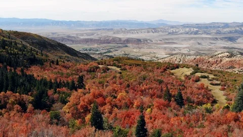 Fall colors in the mountains Stock Footage 97130621