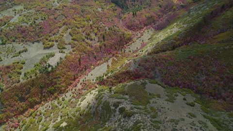 Fall Colors in the Mountains Stock Footage 163190129
